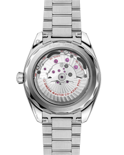 Seamaster Aqua Terra 41mm